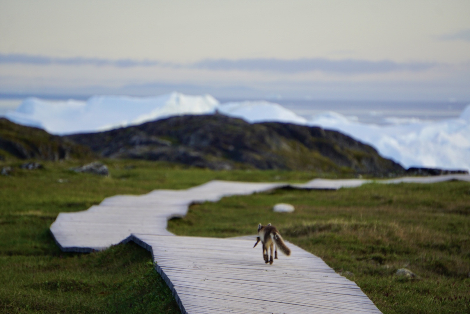 Ilulissat